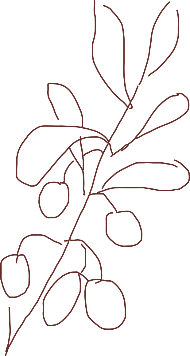 Layer_1 (3).png__PID:5363d3cd-8cf3-46cd-a43b-81b7411e9bc4